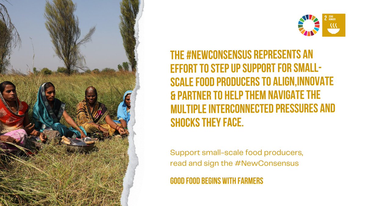farmingfirst's tweet photo. Good food begins with #farmers, but they often cannot access the resources they need to build sustainable livelihoods ⚠️
 
To better support them, @SDG2AdvocacyHub has launched the #NewConsensus for Small-Scale Food Producers!
 
Learn more 👇
https://t.co/4UPkeCuJnp https://t.co/QeYrwE42WO