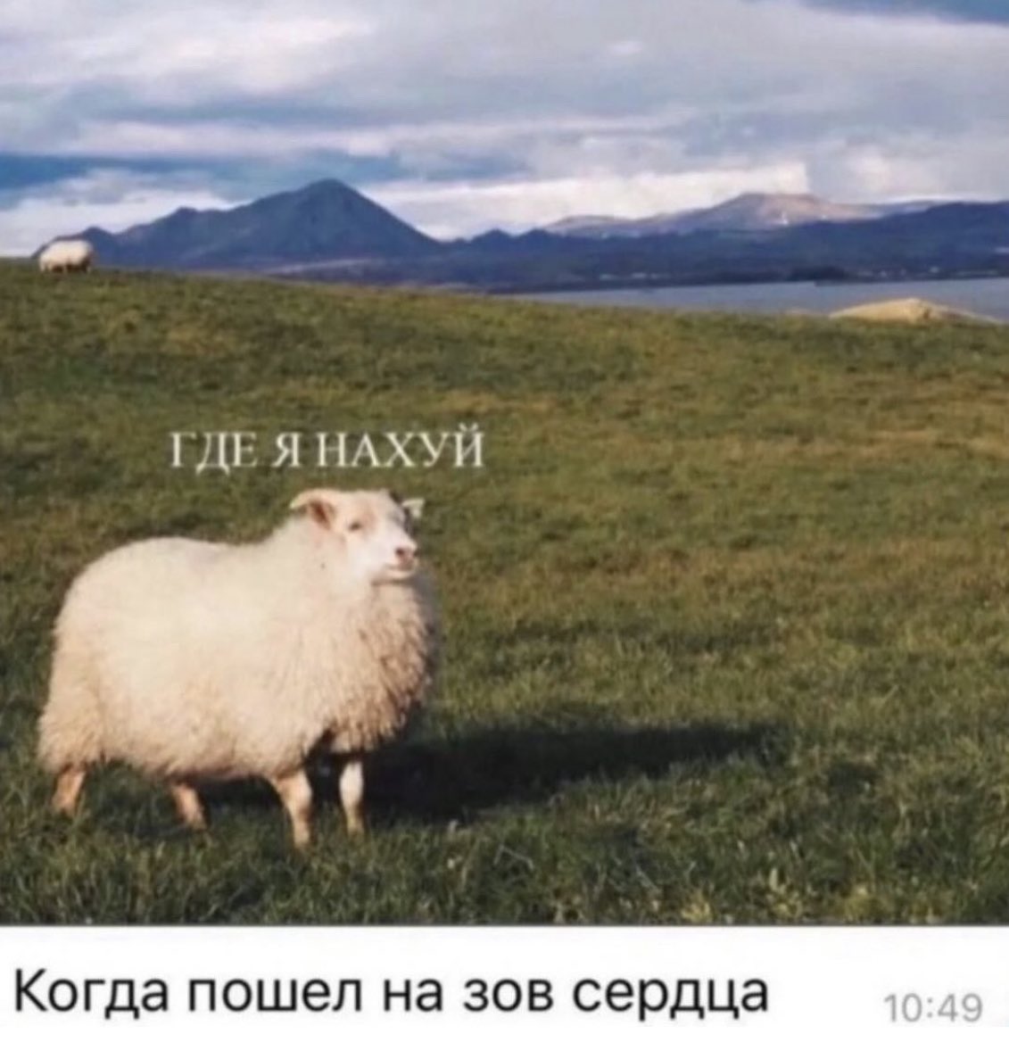 Проект многое дал попробовать. Многому научил. Я афигенно провела время с друзьями. И, думаю, не смотря на все грабли в пути, итог у нас вышел отличный!
<a href="/SargeCrys/">Crispin | Вэнь Душнин</a> синий эмемдемс, <a href="/Ksana_m/">ЯБЛОЧНЫЙ БИЦЕПС</a> красный