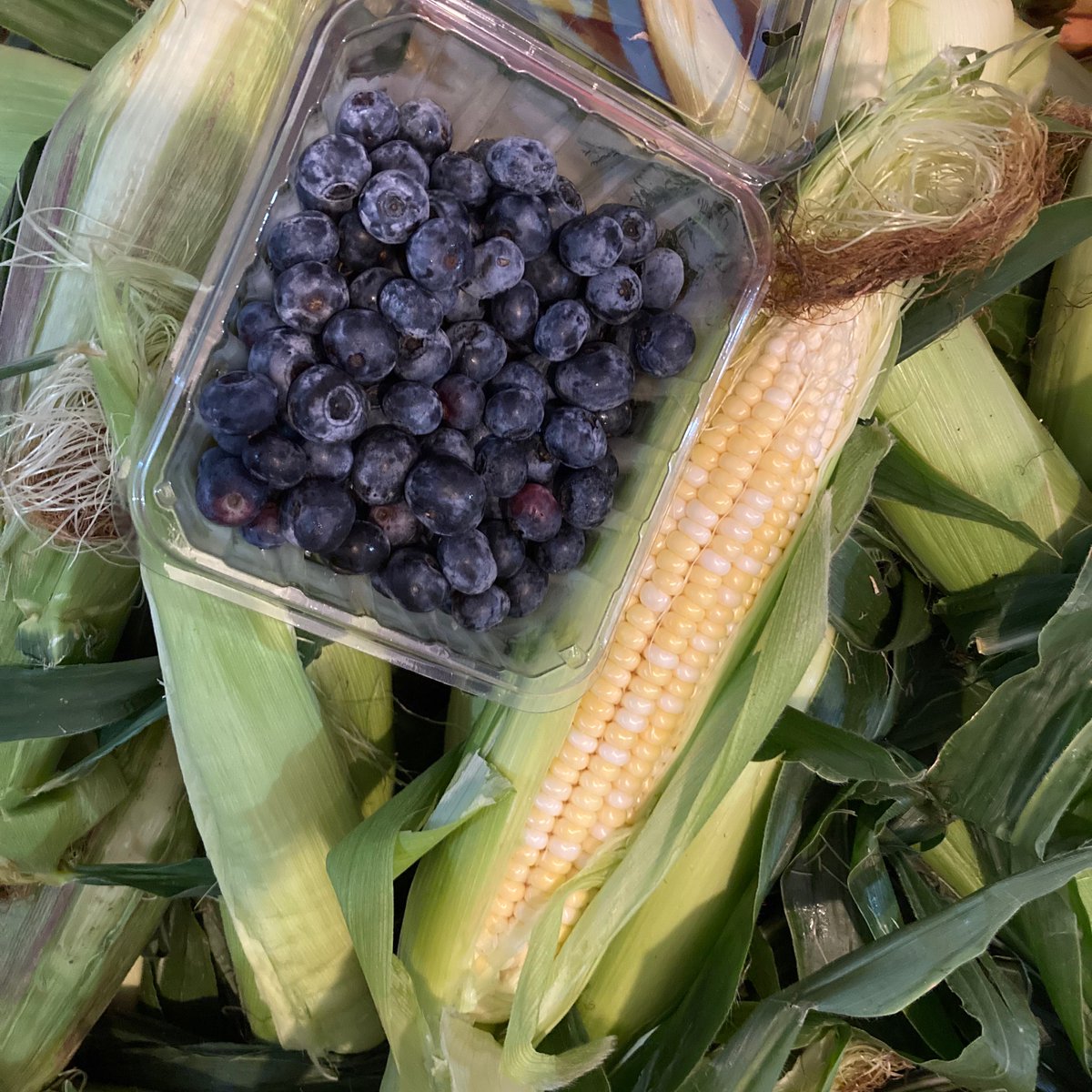 wrightbees's tweet photo. It’s sweet corn season! It’s ready and it just keeps getting better. Make sure to grab some of the sweetest corn youll find and it’s grown right here in the Humber Valley. #nlwrights #alwaysfreshalwayslocal https://t.co/6er5hBgb3g