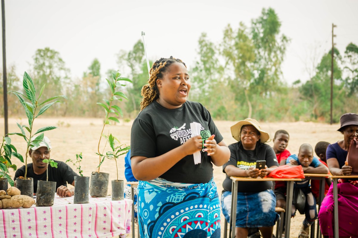 greengovzw1's tweet photo. Through our #FEMADAPT Project w improved women's adaptive capacity to climate change in Marange's ward 23 thru skills training, entrepreneurship, value addition and market linkages wth support from @NLinZimbabwe. @WEDO_worldwide @ActionAidZim @SwedeninZW @The_BigConvo @OxfaminSAF https://t.co/lZDdXhkPnT