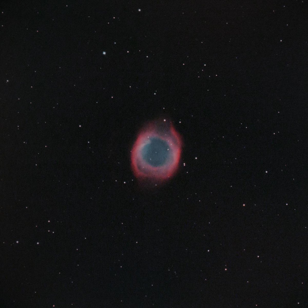 timur_hp's tweet photo. #astronomy #astrophotography #telescope #telescopes #nebula #astrophoto #deepsky  #deepskyobjects  #deepskyimaging  NGC7293 - The Helix Nebula. Shot on William Optics Zenithstar 73mm, Field Flattener 73a, ZWO ASI533 color, Optolong L-eXtreme, guiding zwo asi120. 144x60s. https://t.co/M3gpBgvclx