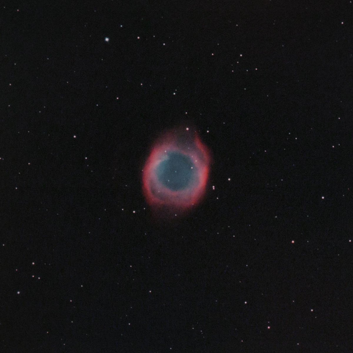 timur_hp's tweet photo. #astronomy #astrophotography #telescope #telescopes #nebula #astrophoto #deepsky  #deepskyobjects  #deepskyimaging  NGC7293 - The Helix Nebula. Shot on William Optics Zenithstar 73mm, Field Flattener 73a, ZWO ASI533 color, Optolong L-eXtreme, guiding zwo asi120. 144x60s. https://t.co/M3gpBgvclx