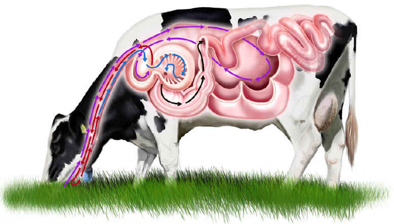 New from IBERS DL - PGCert in Livestock Science
lnkd.in/e6ra6tUc #science #elearning #agriculture
