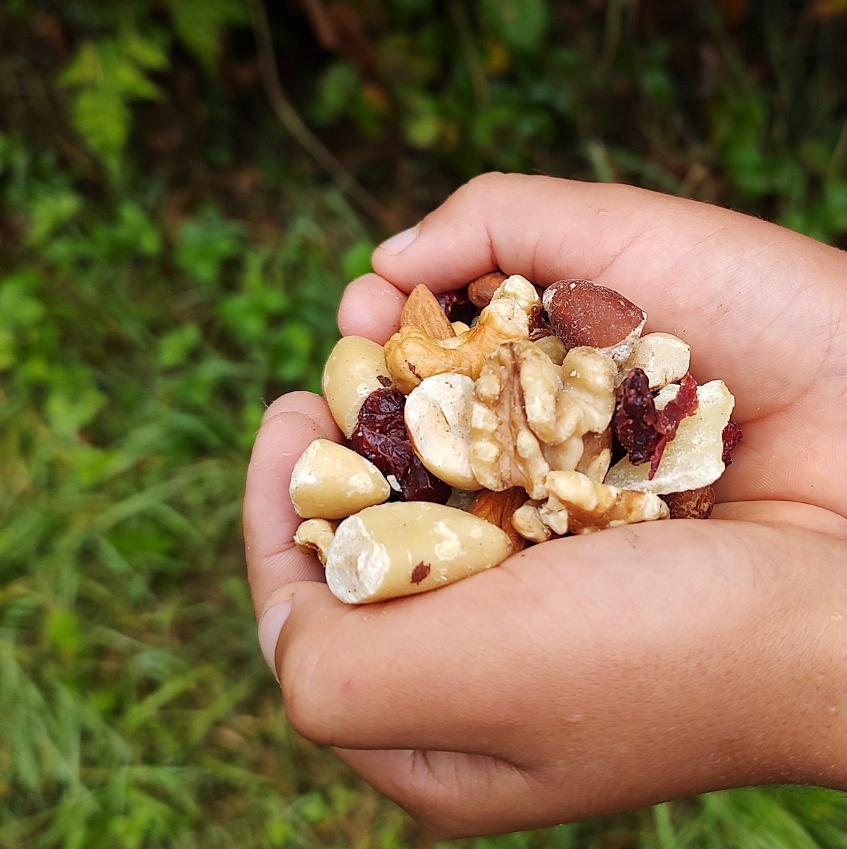 #AVCcalendar Eat some trail mix outside today! #NationalTrailMixDay #NationalEatOutsideDay