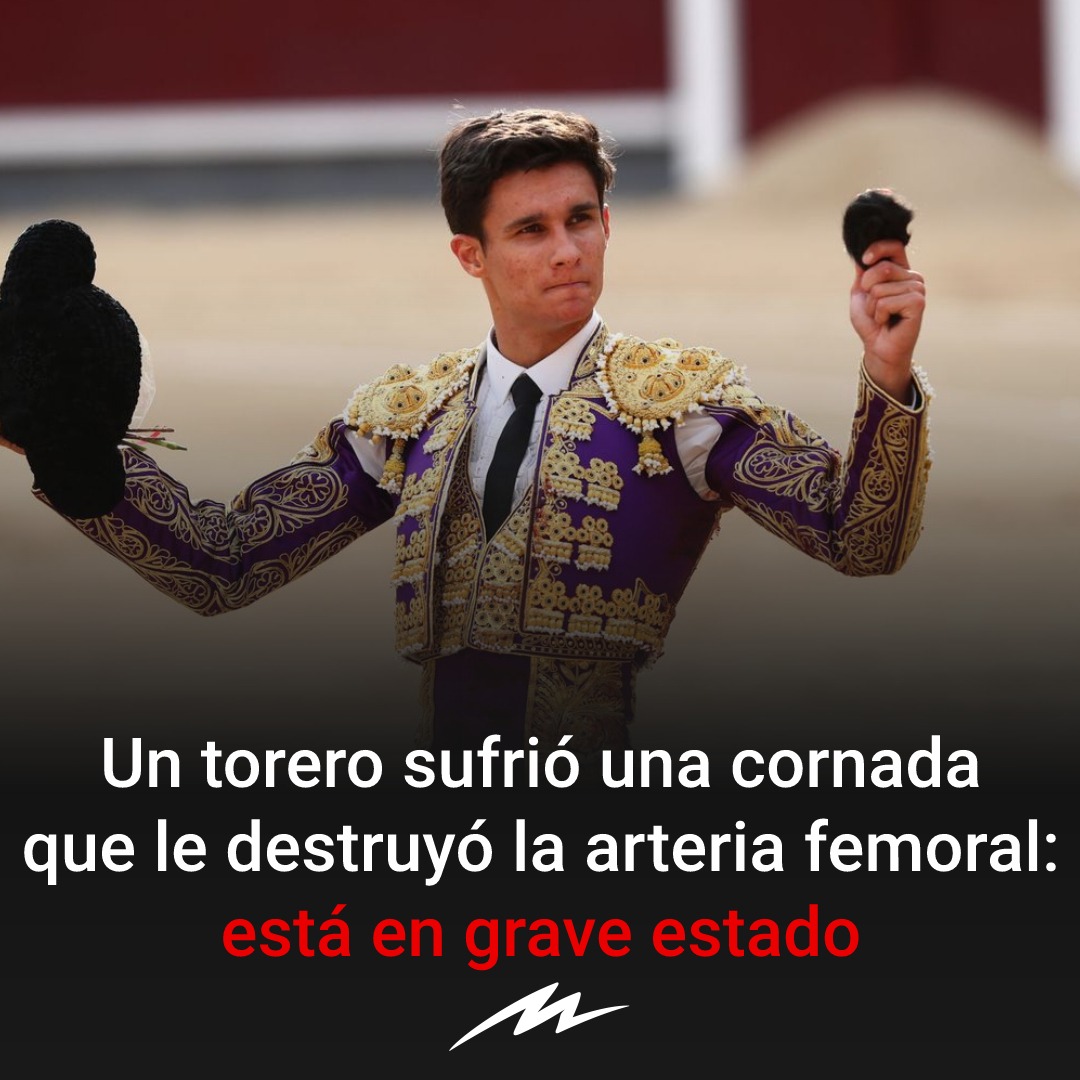 radiomitre's tweet photo. El torero de 23 años, Manuel Diosleguarde, recibió una cornada en el muslo derecho durante una corrida de toros en Segovia, España y lucha por su vida. El joven tuvo la perforación de la arteria femoral y la vena safena, una gravísima herida de 25 centímetros de profundidad. https://t.co/OqOpJstnGT