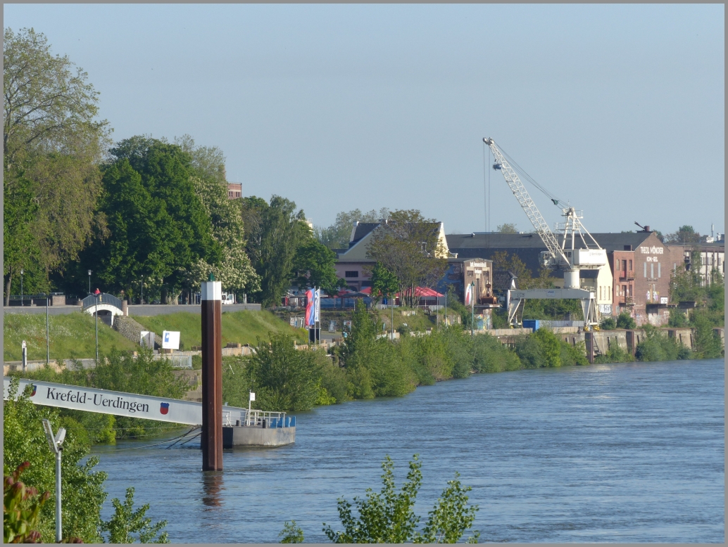 krefeld tweet picture