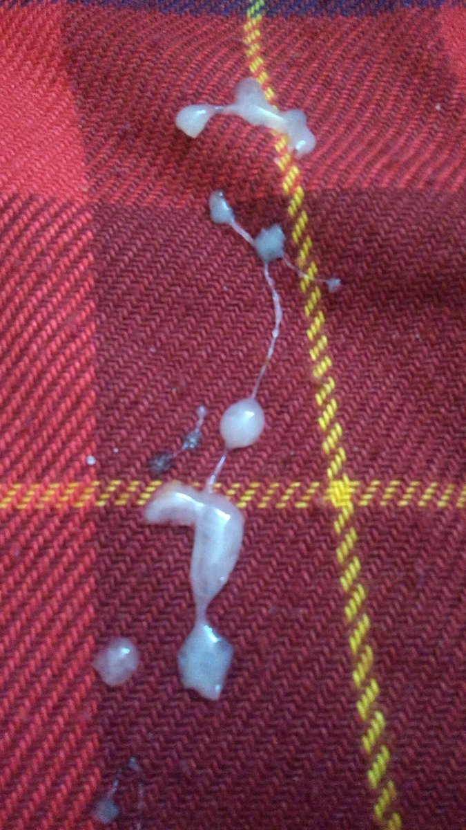 سوداني 🇧🇭28البحرين (@mr5281911221) on Twitter photo 