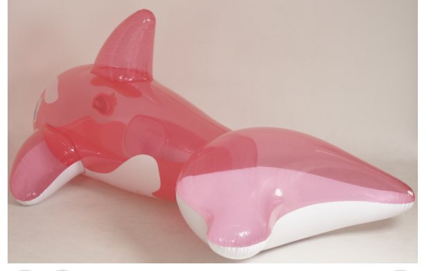 MARJORIE &amp; ME ARE GOING TO THE #LAKE 😱 stay tuned to see this 5 METRE #ORCA hit the WATER 💦!!! #2 days<a href="/tag/lake"class="tags">#LAKE</a><a href="/tag/orca"class="tags"><span>#orca</span></a>