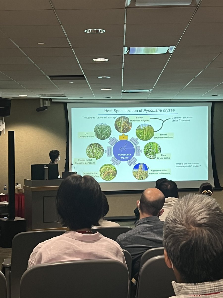 Next in this session, <a href="/AsukeSoichiro/">Soichiro Asuke</a> sharing their work on resistance genes to wheat blast 🌾!

<a href="/JapanUSPlant/">12th Japan-US Seminar in Plant Pathology</a> <a href="/Ravikum09202811/">Ravi Patel</a> #JUSPP