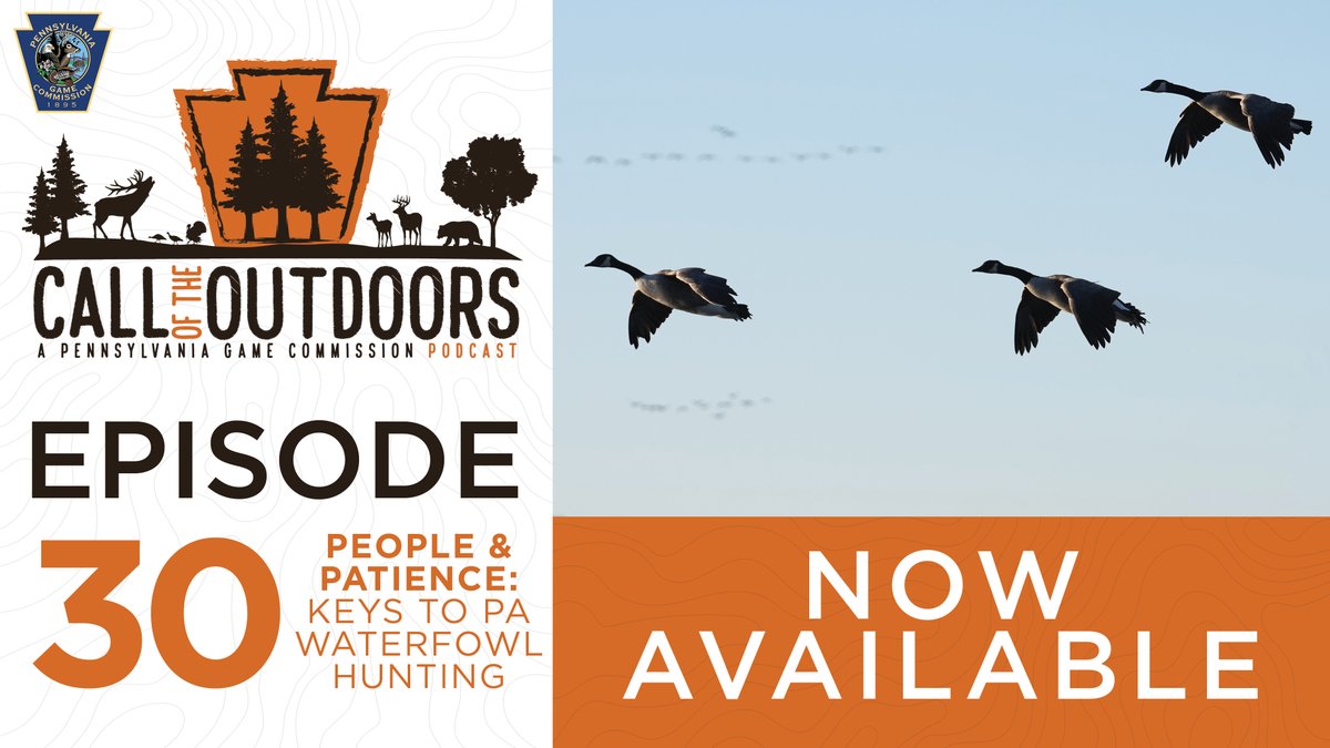 PAGameComm's tweet photo. Call of the Outdoors Podcast "Episode 30: People & Patience: Keys to PA Waterfowl Hunting," is AVAILABLE NOW. 🎧Listen here➡ https://t.co/8Thnw3hC1f. #goosehunting #waterfowlhunting #thanksforhunting #huntingisconservation https://t.co/L36zZZuEJ9