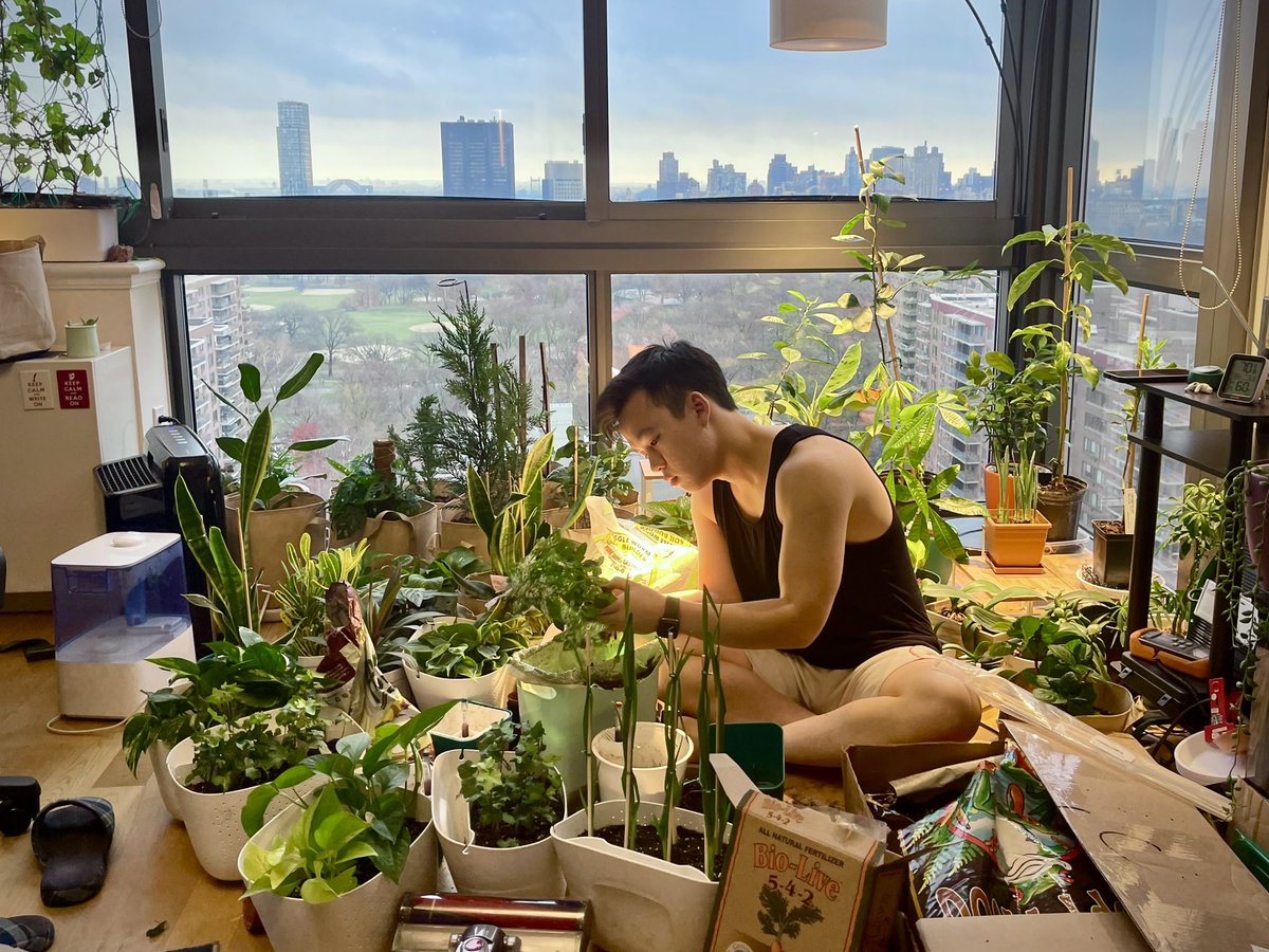 joelryanlee's tweet photo. On Columbus Avenue, by Central Park 
Up high - what a view - I made my ark  

Became a hermit, there was no vaccine
Lost joy's permit, I am no machine 

Desperate for sanity, I began my garden 
Was it vanity? My soul, don't you harden

(1/2) #poem #poetry #plants https://t.co/IQZ05JvNuQ