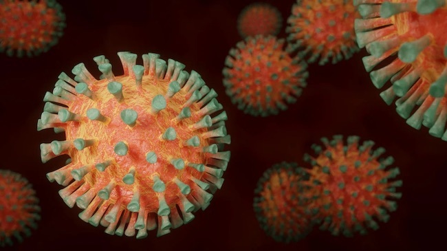puglianotizie24's tweet photo. Bollettino Coronavirus Puglia, i dati di oggi 31 agosto 2022 https://t.co/tS8B26yQ7B https://t.co/n3IYOOQ059