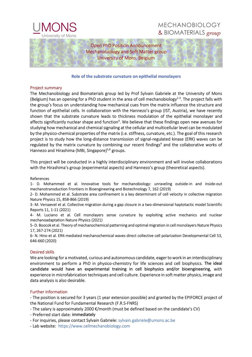 Sylvain GABRIELE tweet media