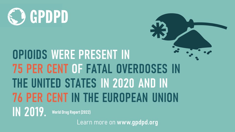 There are ever more people who die because of drug use disorders, especially of #overdoses. We promote health and human rights-centered drug policies including #HarmReduction to prevent these deaths ➡️gpdpd.org/en/drug-policy… 
#InternationalOverdoseAwarenessDay