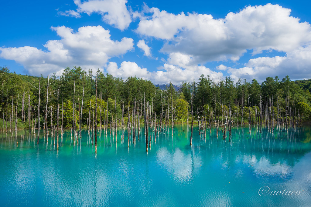 aotaro_aotaro's tweet photo. Blue pond under the blue sky with clouds, my new picture on #Flickr https://t.co/HfJ4hscaeq #Photography #tokyocameraclub #NationalGeographic #YourShot https://t.co/VuOcPTKzxD