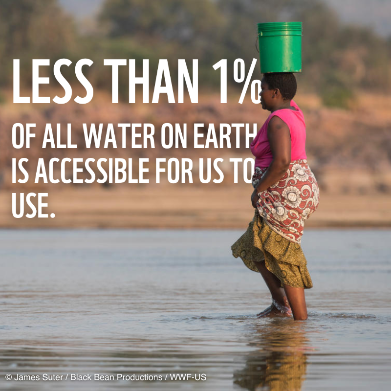 WWF's tweet photo. Freshwater is essential for all life on 🌏. But it’s under extreme threat.

📣 We must transform the way we value water and manage our freshwater resources – for people and nature everywhere.

RT if you agree!