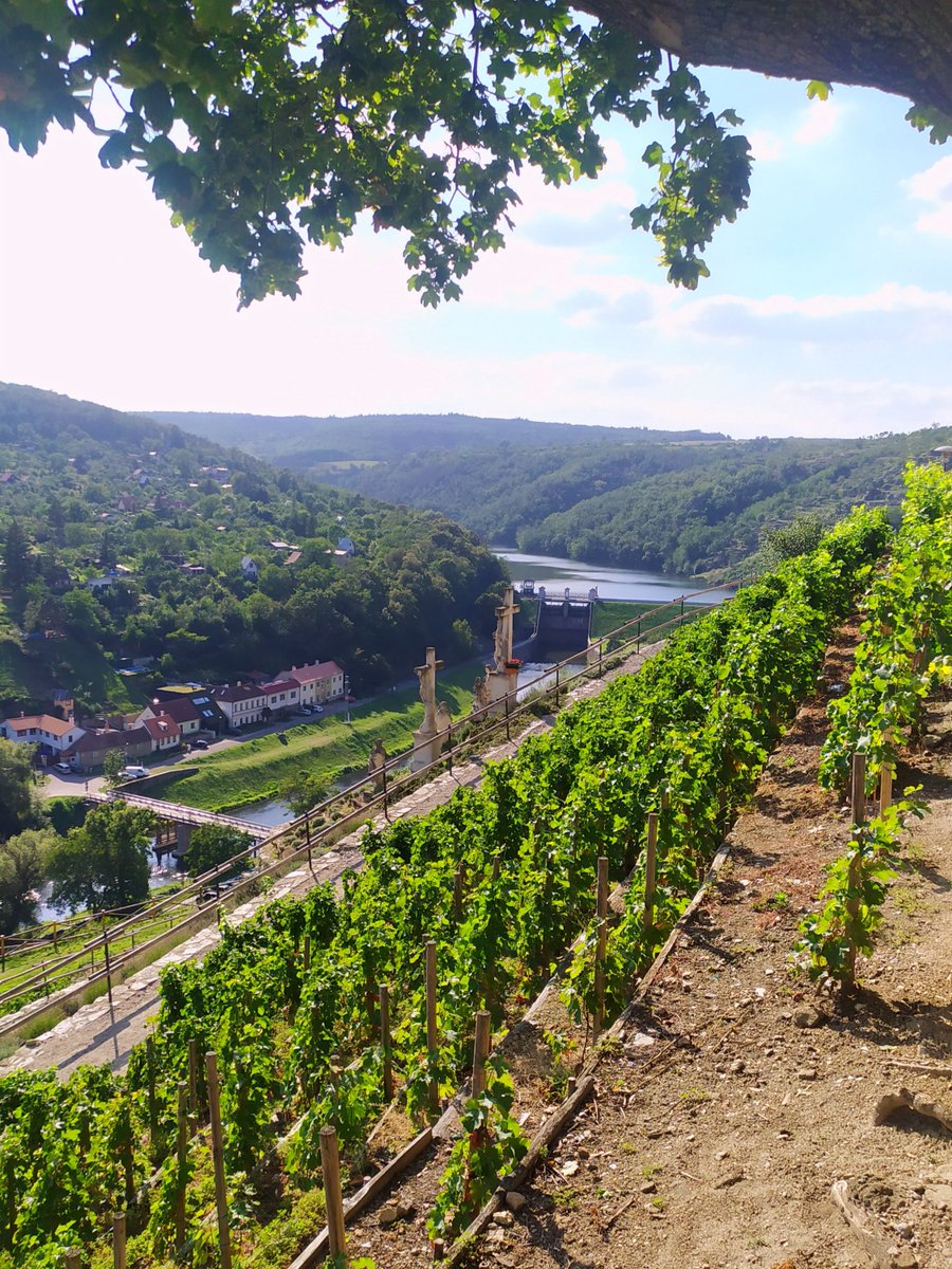 SortJindrich's tweet image. Krásné Znojmo ❤️ 
#Znojmo #Morava #Czechia