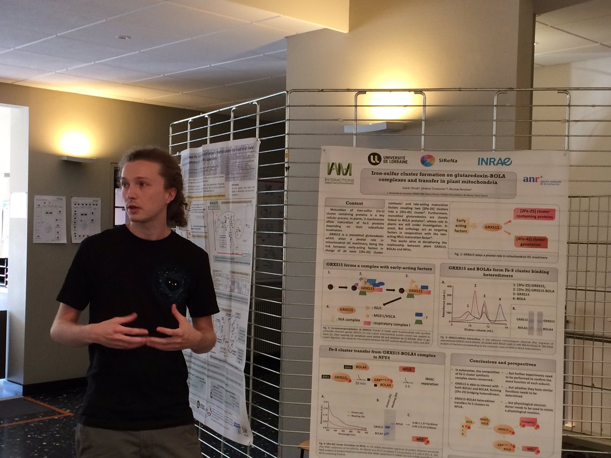 UMR_IAM's tweet photo. #DocPostdocDay: Loïck Christ on “Iron-sulfur cluster formation on #glutaredoxin-BOLA complexes and transfer in #plant #mitochondria” https://t.co/gghNMQYKCQ