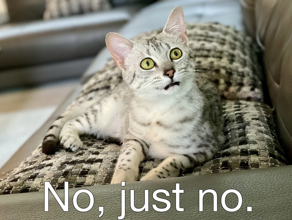 As the single largest shareholder of Beacon Technologies, I completely support the decision of the Board of Directors and Officers (me included) to say NO to the $80M buyout. 

Can't wait for "The Reveal" of the new tech. Minds will blow!