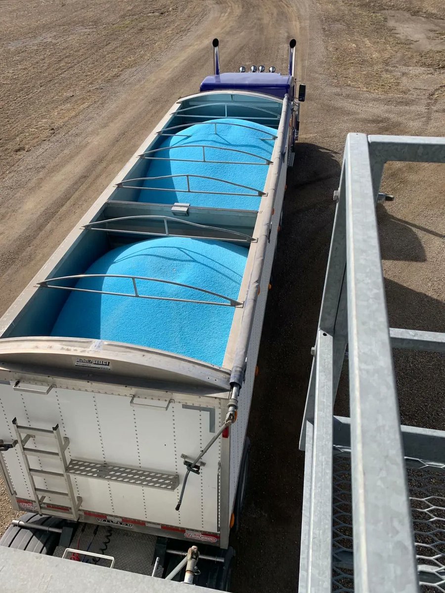 Our team associates the colour blue with happiness - we'll let you guess why 🔷🌾

Excelis Maxx is your ticket to protecting your nitrogen investment from all 3 pathways of loss. Make sure it's part of your operation moving forward by sending us a message! ca.timacagro.com