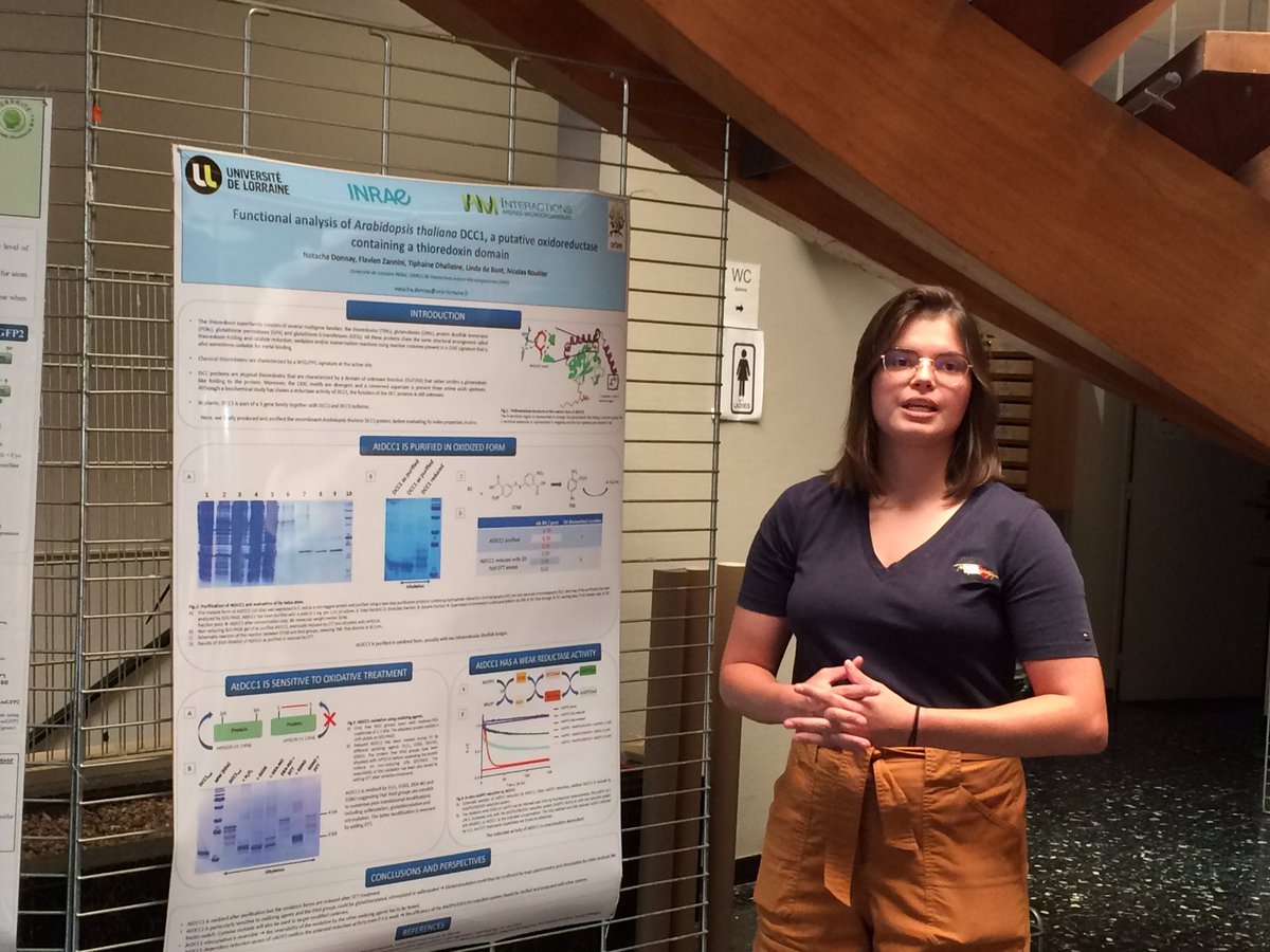 UMR_IAM's tweet photo. #DocPostdocDay: Natacha Donnay on “Functional analysis of #Arabidopsis #thaliana DCC1, a putative #oxidoreductase containing a #thioredoxine domain” https://t.co/gcRp0P1HEG