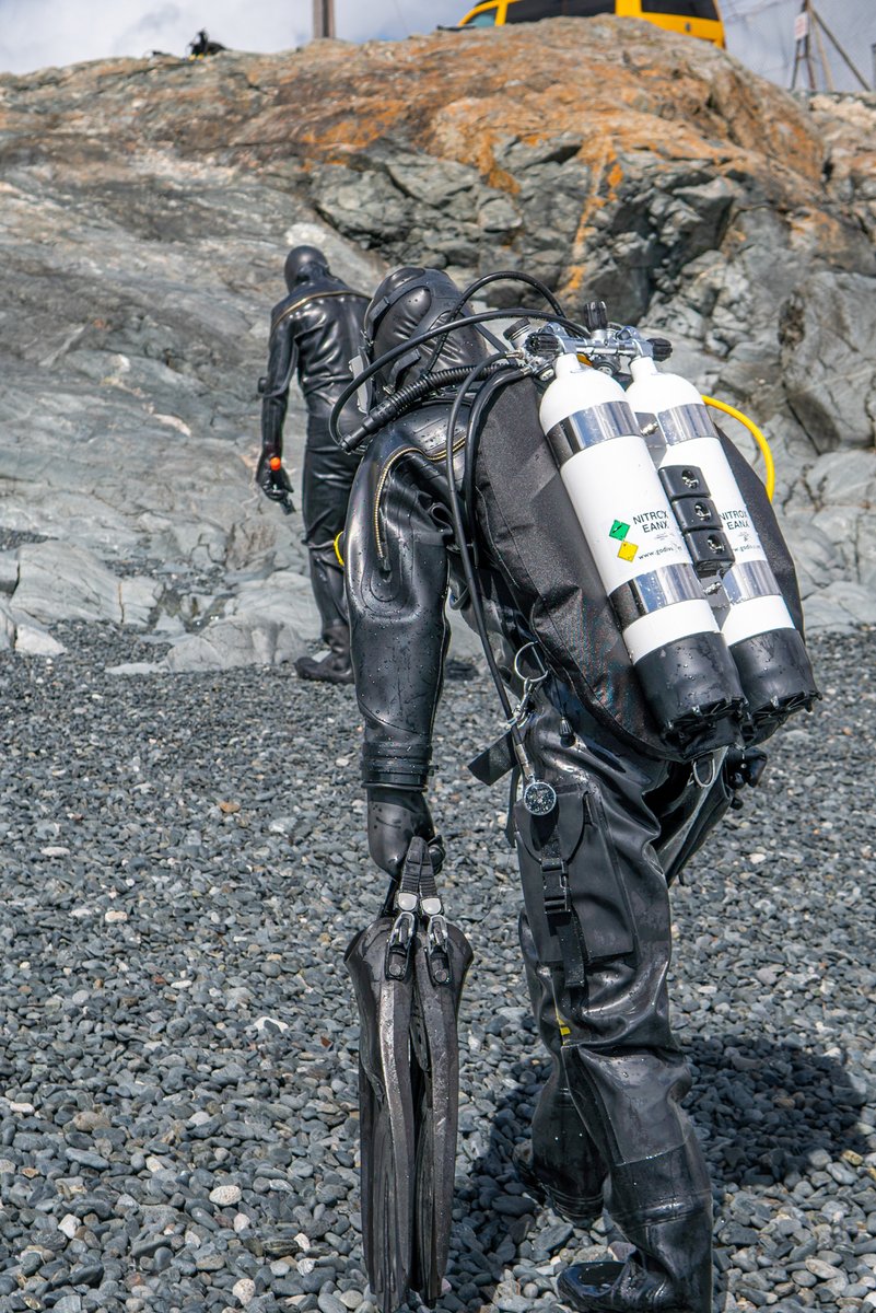 JKnightdiver's tweet photo. another shinyboi! https://t.co/Cige2dVFPI
