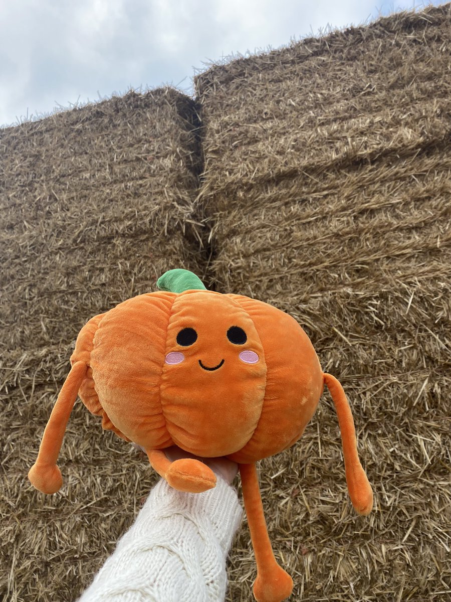 Meet pumpy I love him
