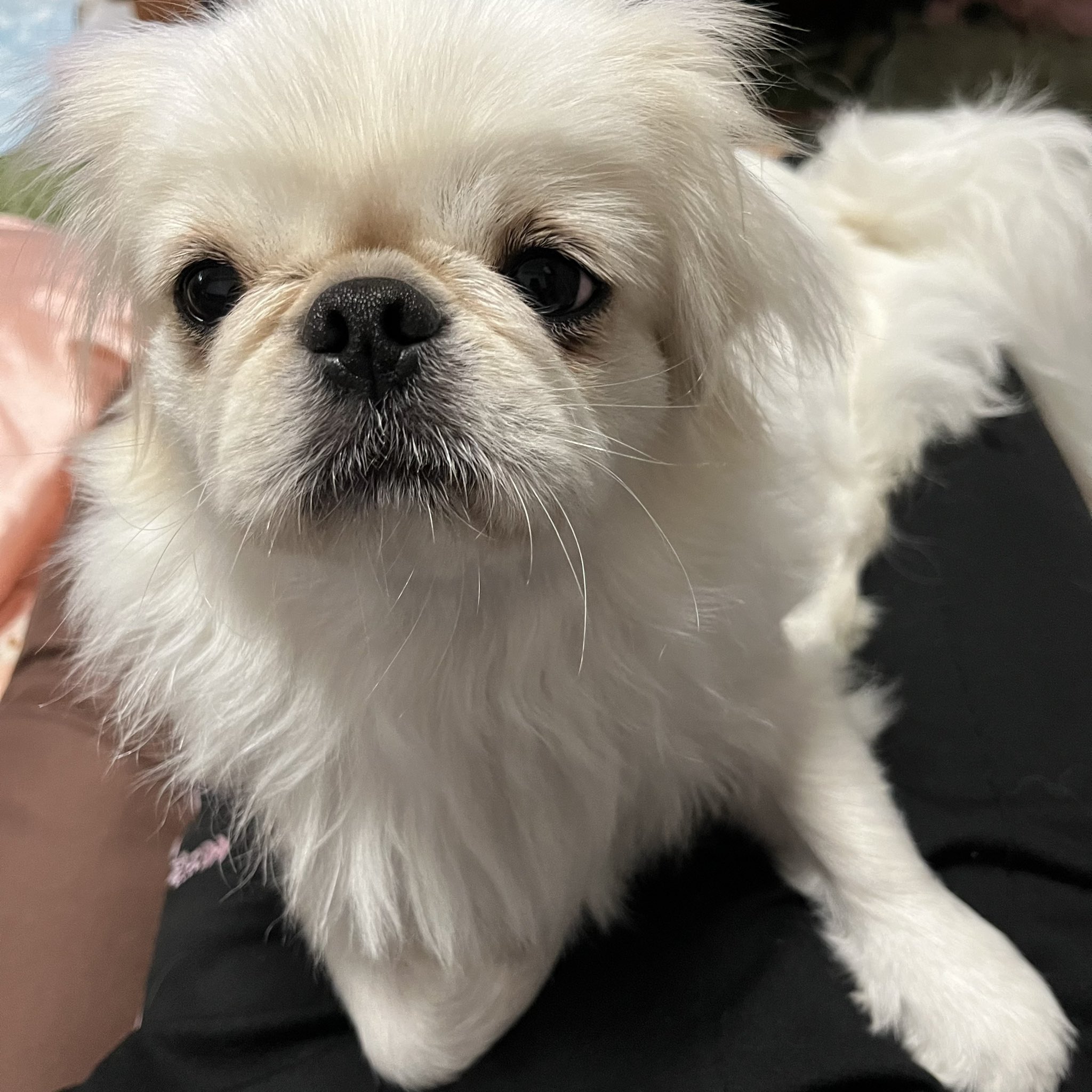 不機嫌がすぐ顔に出るタイプ Twitter Search Twitter