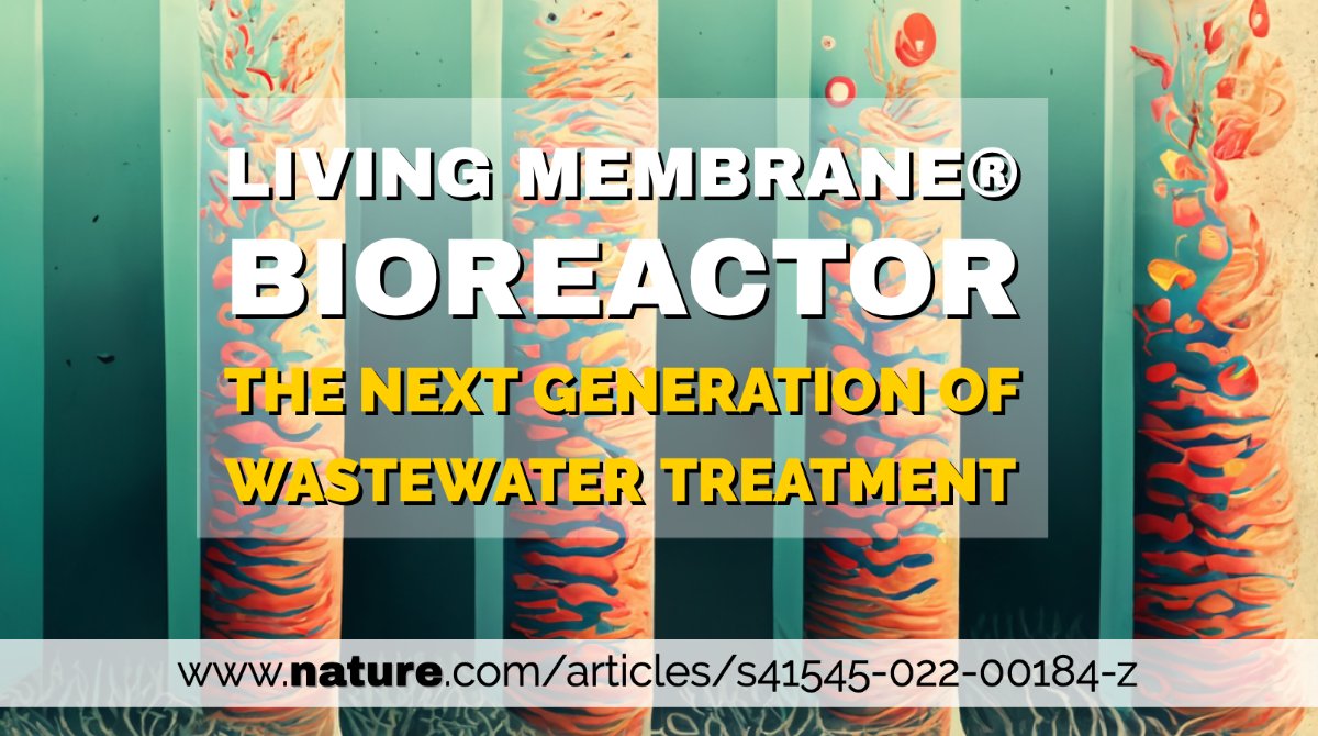 [RICERCA]
Si chiama #MembraneVive la tecnologia brevettata dal <a href="/DICIVUnisa/">Dipartimento di Ingegneria Civile (DICIV)</a> per il trattamento delle #acquereflue con #proecessibiologici in grado di ridurre costi e fabbisogni energetici. Lo studio è sulla prestigiosa rivista <a href="/Nature/">nature</a> 
web.unisa.it/unisa-rescue-p…
<a href="/Vincenzo_Naddeo/">Vincenzo Naddeo | 納文 森</a>