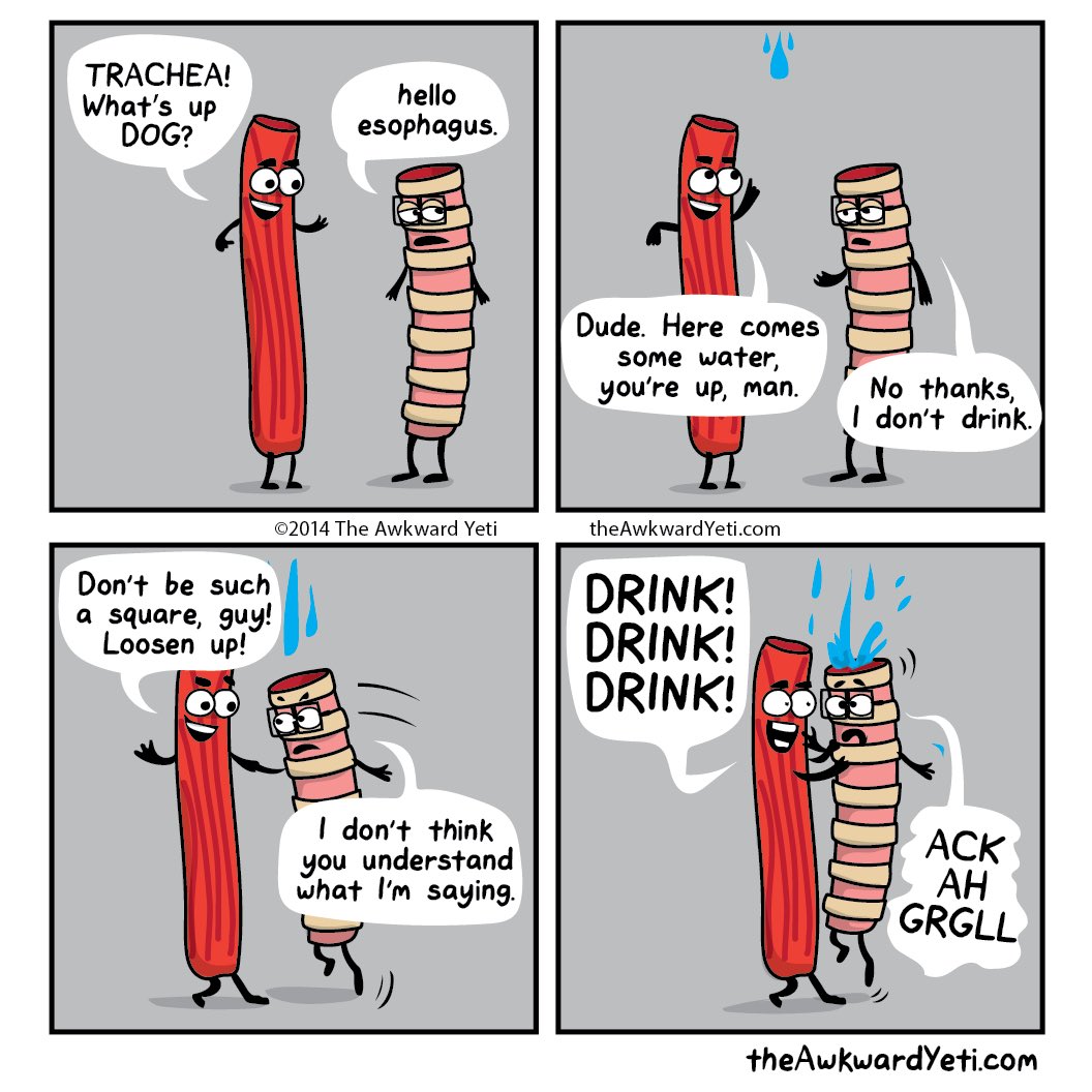 theawkwardyeti's tweet photo. Wrong pipe https://t.co/EgKQG8HP11