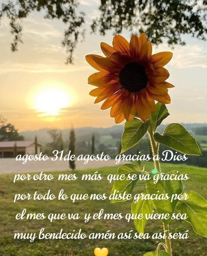 Silvia Aniceto Martinez (@aniceto_silvia) on Twitter photo 