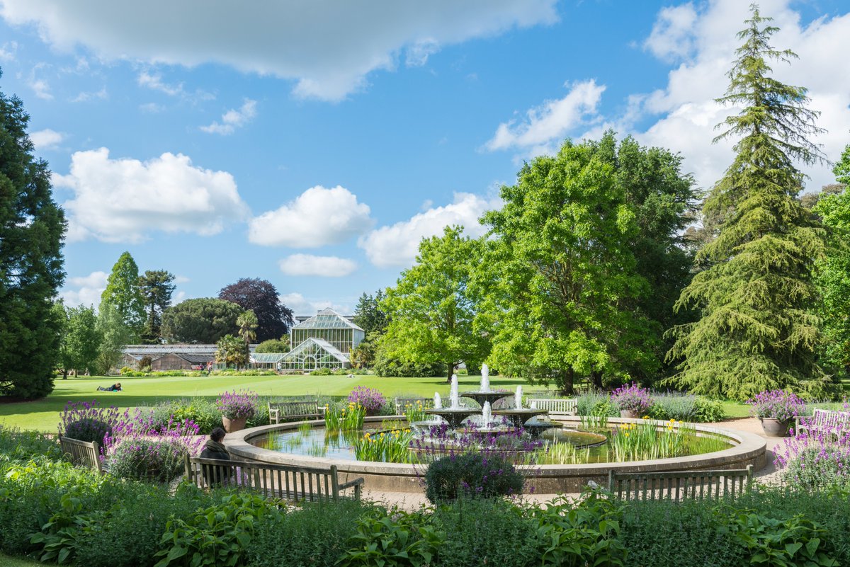 CamValleyCRP's tweet photo. Take time out and reconnect with loved ones as you enjoy #DaysTripsByTrain. Why not visit @CUBotanicGarden, 10 minutes walk from the station? #ExploreTheGreatOutdoors along the #CambridgeLine https://t.co/U4tcvKWfmp #VisitCambridge @TLRailUK @GNRailUK @ScenicRailBrit @VisitCambs https://t.co/MwmVfCVmKm