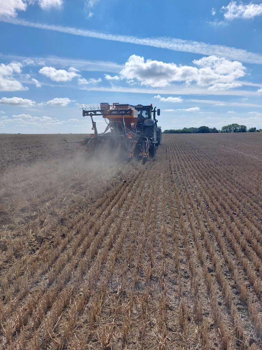 PT303 being sown today in Oakstown with #whiteBros, <a href="/Sneezerwhyte/">Daithi Whyte</a> <a href="/PeadarWhyte/">Peadar Whyte</a> <a href="/DrummondsAgri/">Drummonds</a>