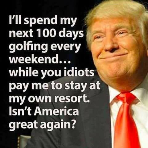 Michell14833227's tweet photo. @MonicaCrowley Don't even go there after all the golf we paid for Agolf Twitler to go on. https://t.co/NnaIzilJIA