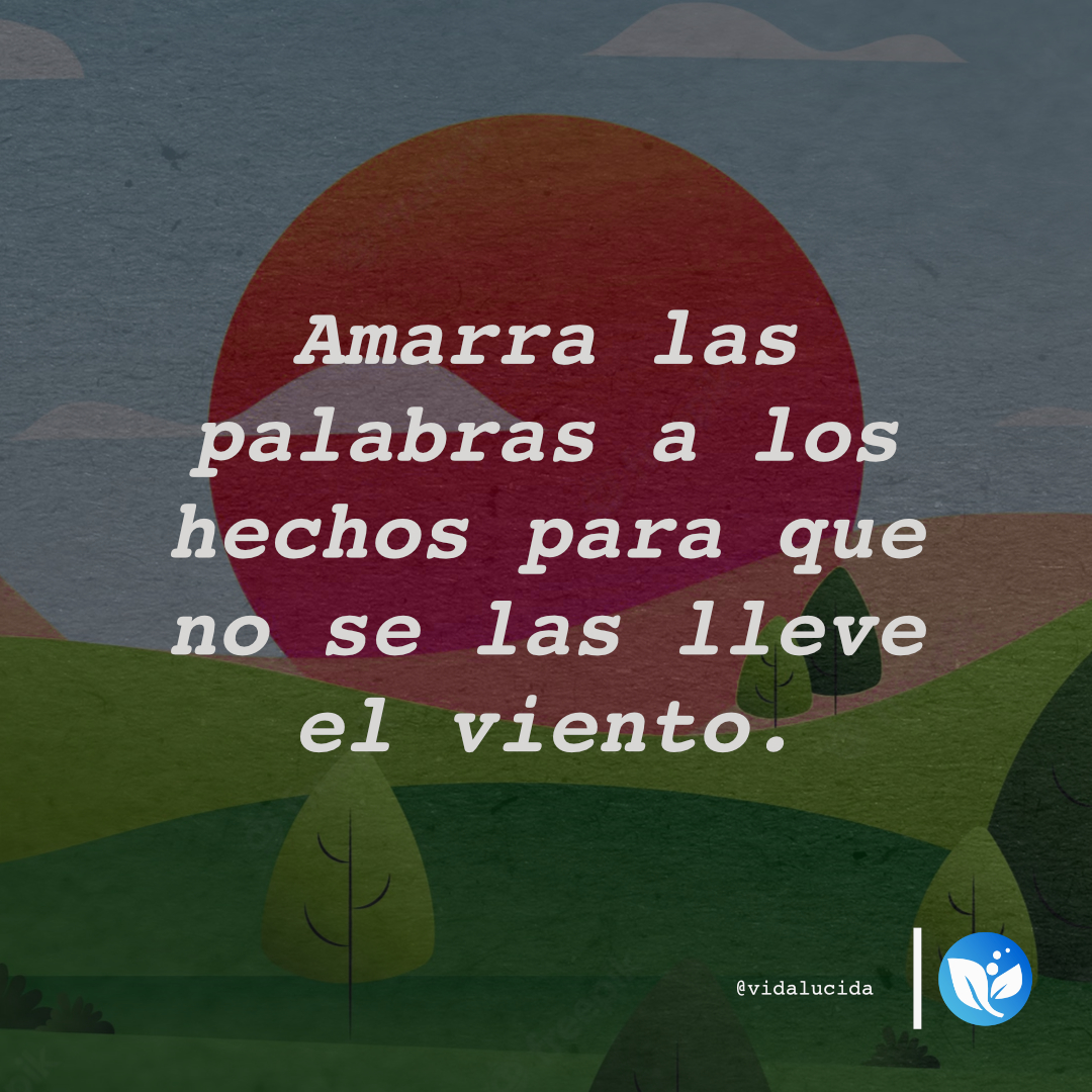 Vida Lucida (@unavidalucida) / Twitter Vida Lucida (@unavidalucida) / Twitter