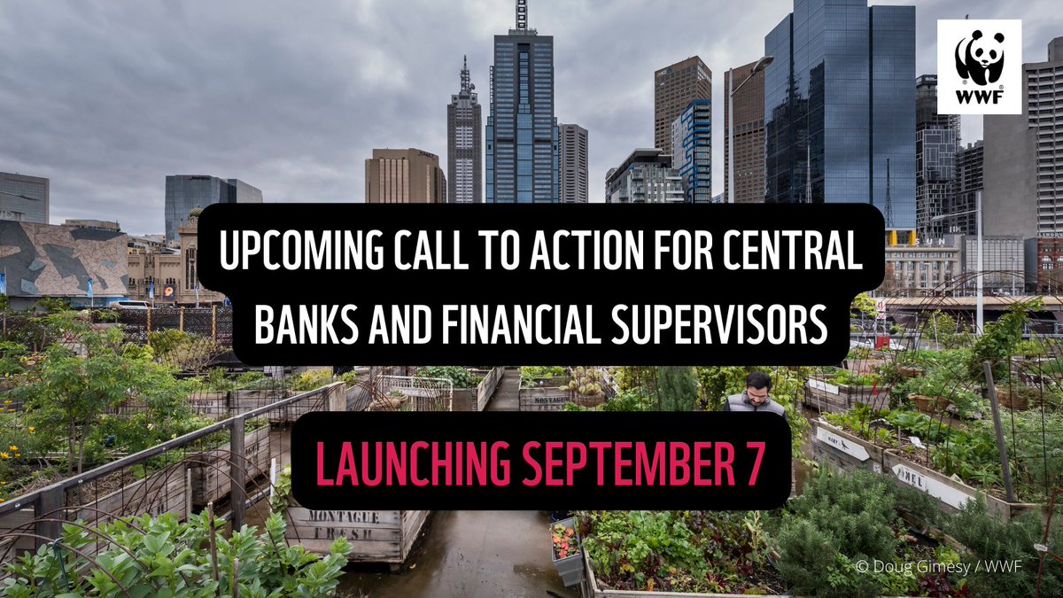 WWFLeadFinance's tweet photo. 📢Upcoming @WWF #GreenFinanceRegulation💸campaign launching September 7th🌱

#G20Indonesia #COP27 #COP15 #SDGs #NaturePositive #NetZero #finance

@g20org @NatureDeal @WWF_Media https://t.co/YO8Hf2552L