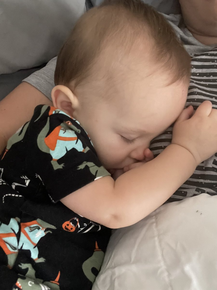 AnnaWasserman's tweet photo. I could do this all day https://t.co/HX6XLa9FId