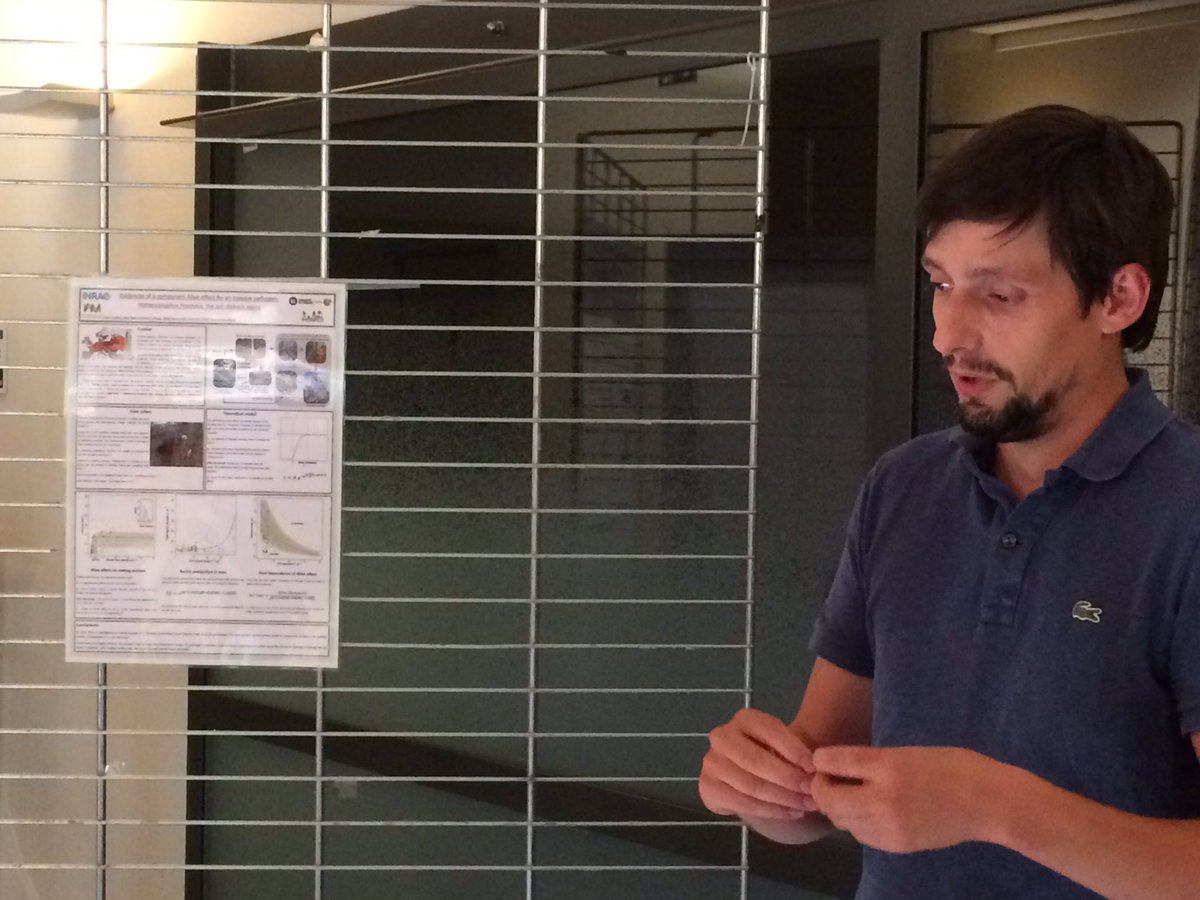 UMR_IAM's tweet photo. #DocPostdocDay: Simon Laubray on “Evidence of component #Allee effect for an #invasive #pathogen: Hymenoscyphus fraxineus, the #AshDieback agent” https://t.co/WMMgpMw75Y