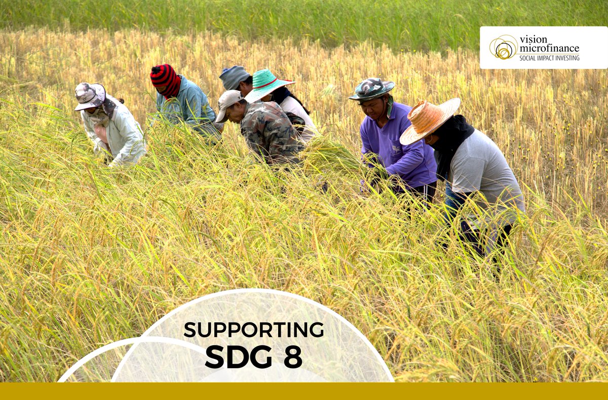 vision microfinance tweet media