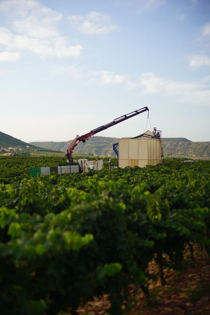 BodegasLan's tweet photo. Ultimo día de montaje de la nueva instalación de @concentricofest en Viña Lanciano. Mañana se inaugura el festival👍 https://t.co/nIk1yHdB3F