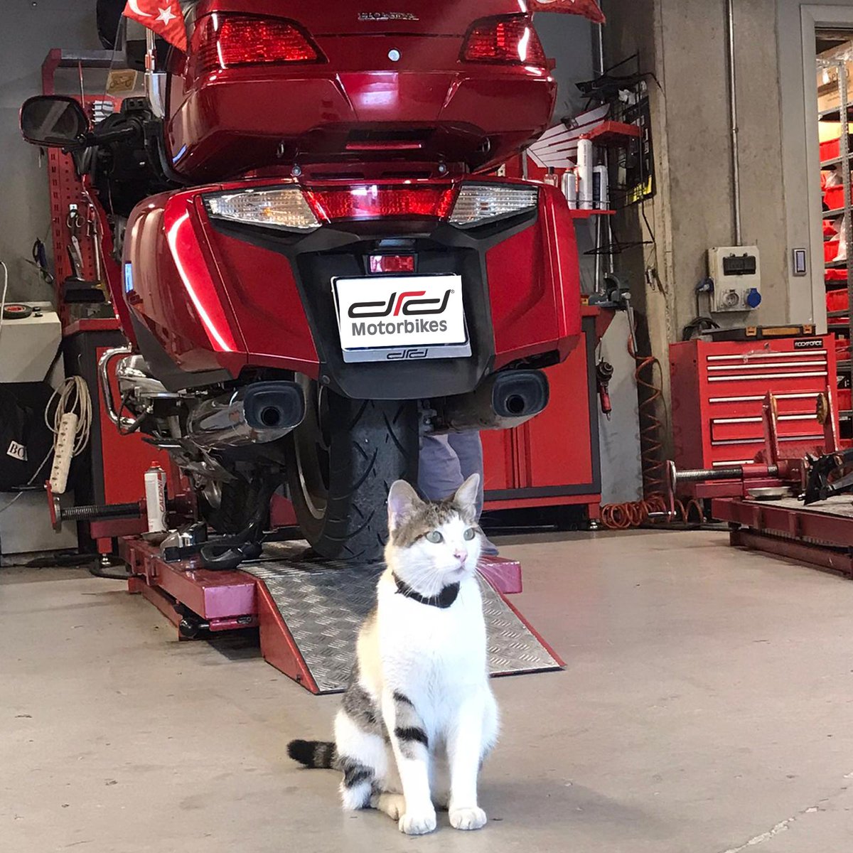 drdmotorbikes's tweet photo. Servis de tercihim hep DRD. Güleryüz kaliteli hizmet ve hepsinden önemlisi ıslak mama veriyorlar.
Renkler değişir motorlar değişir ama adres değişmez Motor DRD’den alınır #motordrddenalınır. https://t.co/qB7zmnSpv9