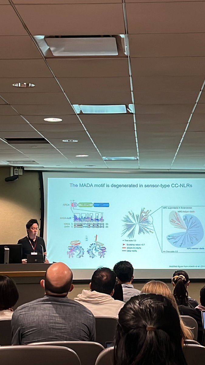 Now, <a href="/HiroakiAdachi3/">Hiroaki Adachi</a> is sharing their work on the Nucleotide-binding-leucine-rich repeat (NLR) and how NLR recognize plant pathogen <a href="/JapanUSPlant/">12th Japan-US Seminar in Plant Pathology</a> #JSUPP <a href="/EpiPlantPath/">Dr. Juliana González-Tobón</a>