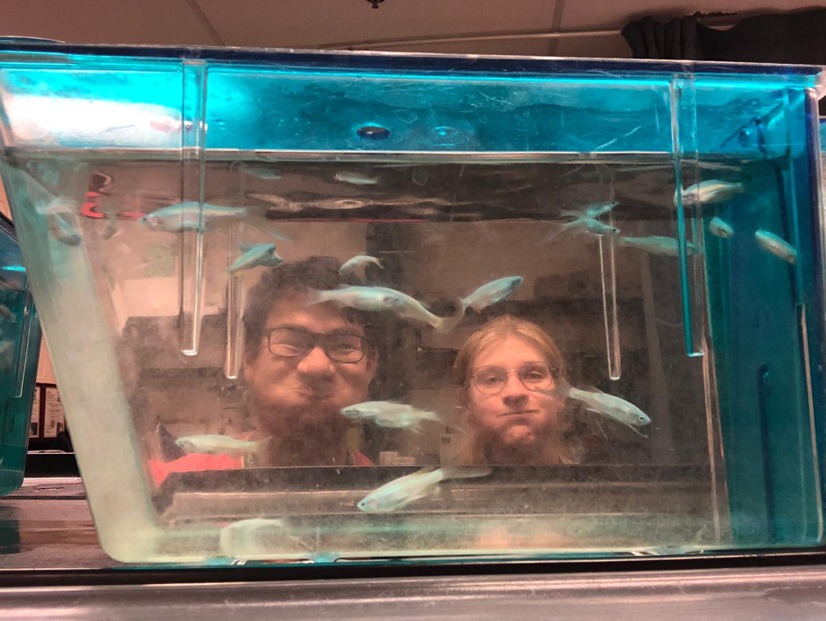 ProDGNE's tweet photo. Great times for our #ProDGNE partners from Germany and Canada!
Vanessa Hagenhaus, MD/PhD student from @unimedhal in Halle ventured over to Ottawa to learn from Jarred Lau about how the @LochmullerLab is modeling #GNEMyopathy in #zebrafish 🐟
#RareDisease #NMD #EJPRD #JTC2020 https://t.co/KGiJXh9wdR