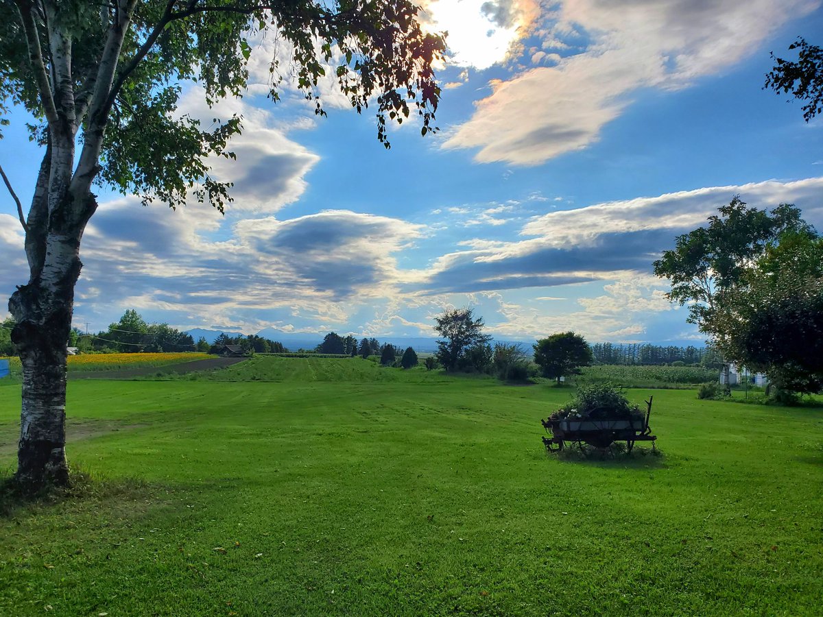 投稿頻度1年空けるのだけは避けたいと思ってたけど無事そうなったので夏っぽい写真おいとく