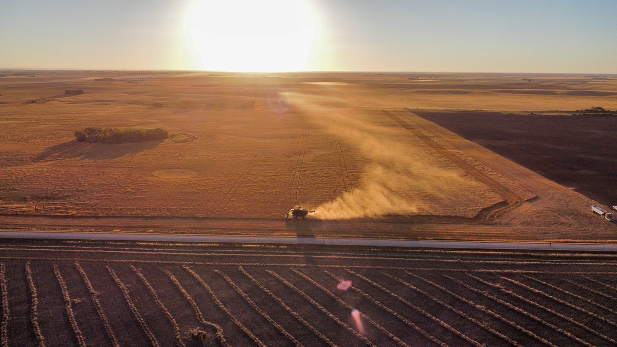 6:57am, August 31st, 2022. #harvest2022