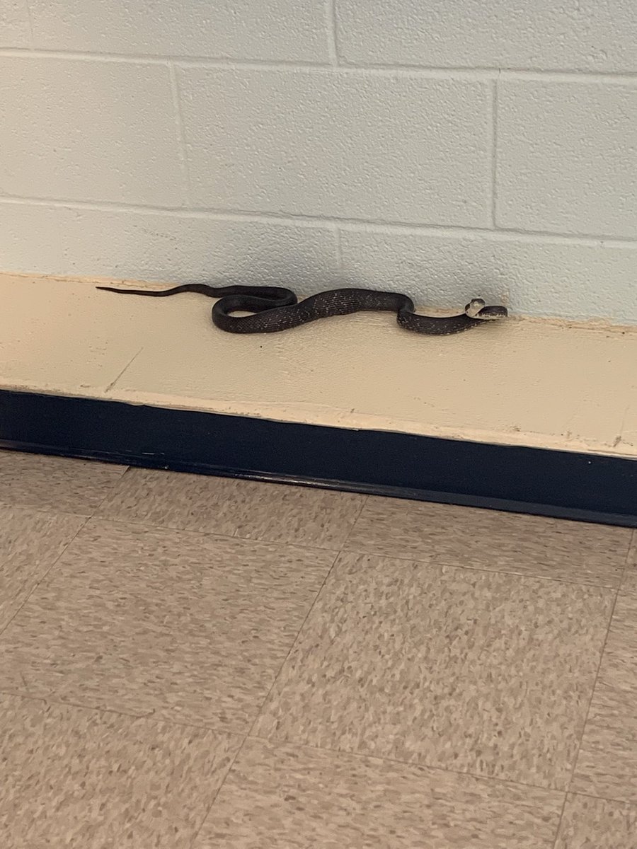 Very slow 🔥 drill this morning due to some things taking too long to get out of the building! <a href="/CHESPirates/">Corinth-Holders Elementary School</a> Nobody was harmed during this fire drill.