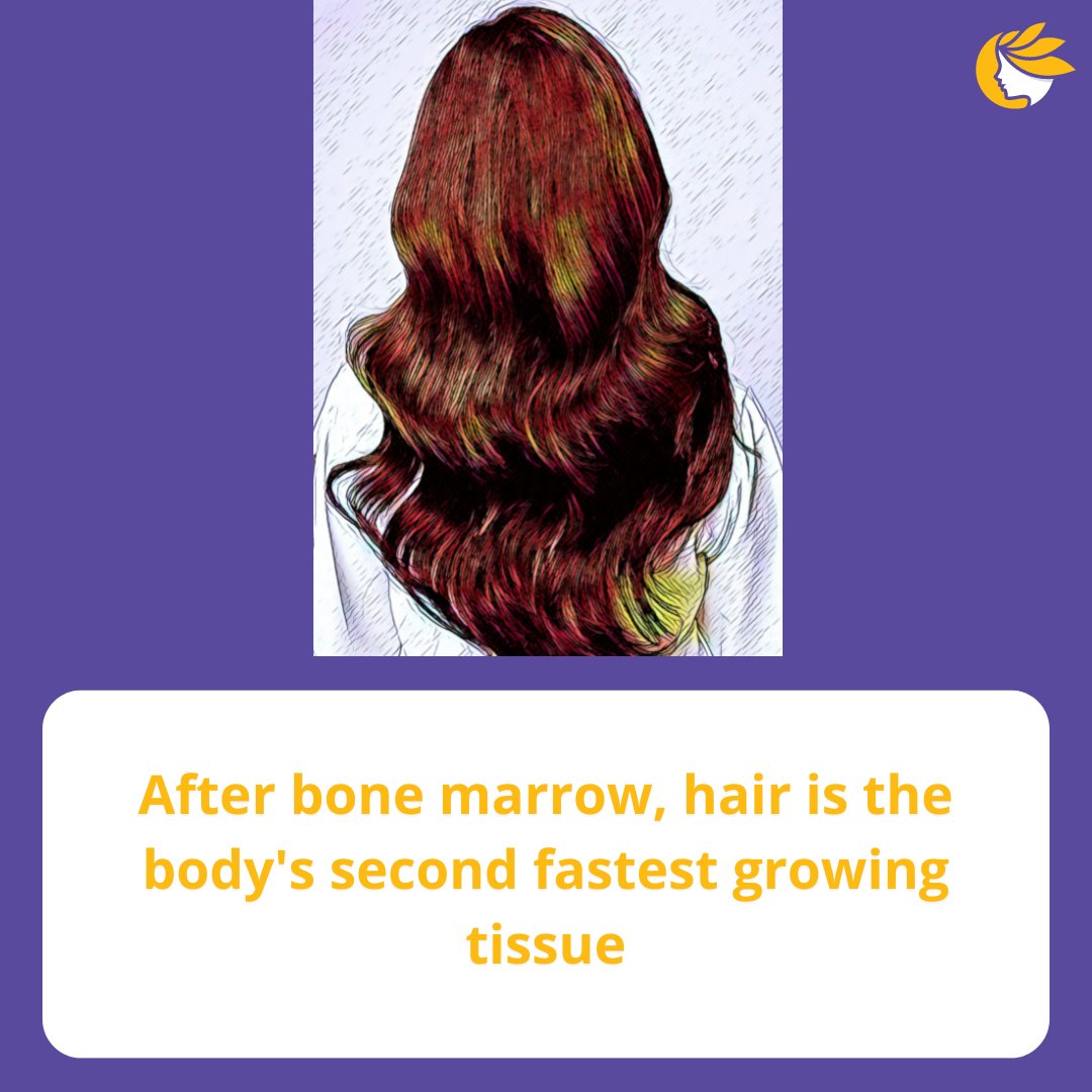 Is your hair growing faster? Find out on bit.ly/3RZIawn

#myhaircounts #myhairmatters #nationalhairlossawarenessmonth #hairloss #hairdensity #dandruff #grayhair #menhairloss #femalehairloss #hairlosssolution #hairfall #hairfallcontrol #hair