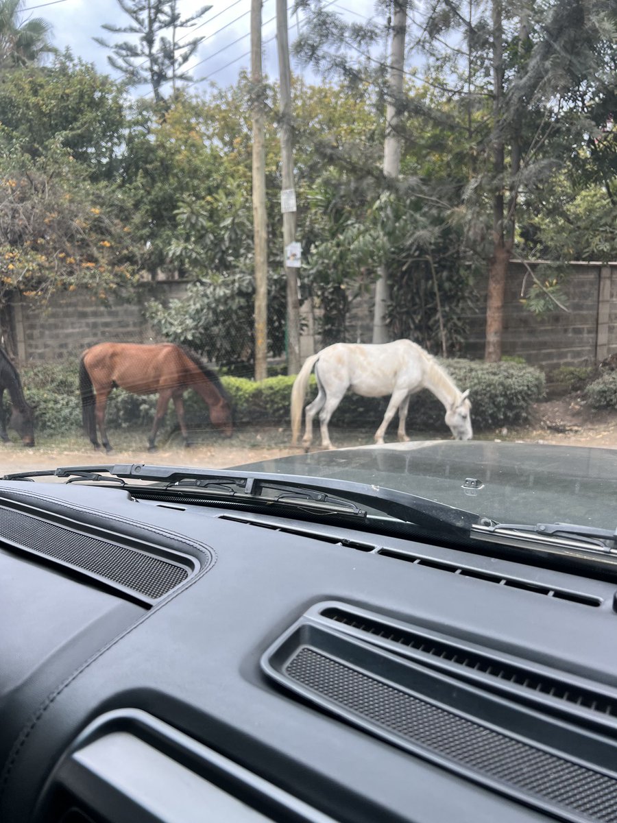 muniu's tweet photo. Kileleshwa is a very strange place. https://t.co/XqLRlSlyh6