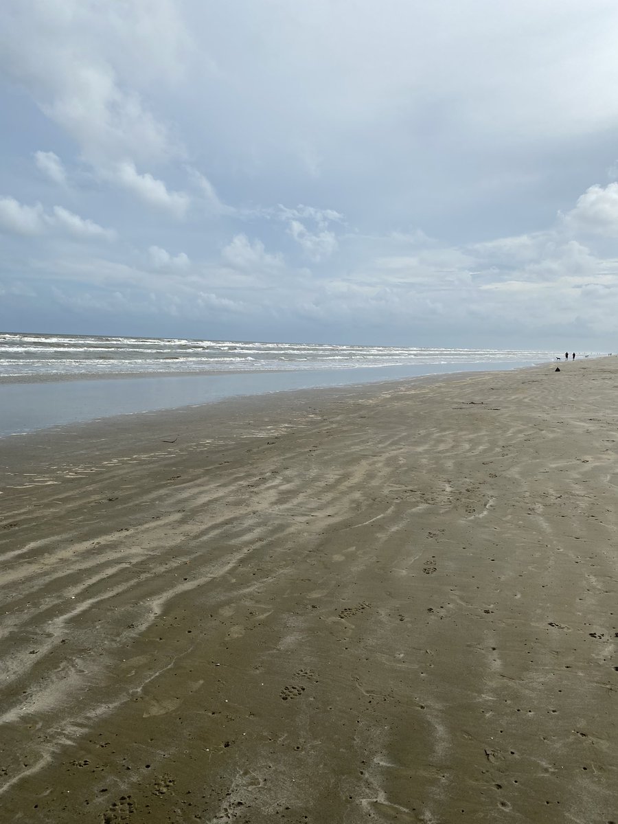 sunday_lavender's tweet photo. @CrazyCanuck4 I love the ocean m. We were just there last week and it was so nice😌 https://t.co/ucRbg1D9TM