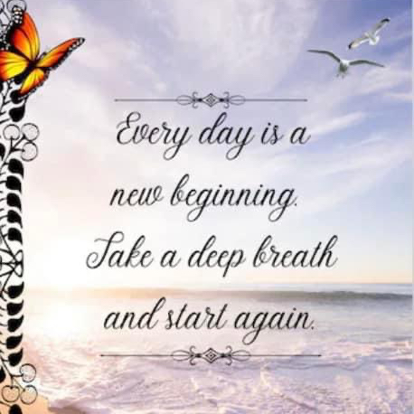 DarbysFlorist's tweet photo. Happy Wednesday! https://t.co/1z2sV7Xe3Q
